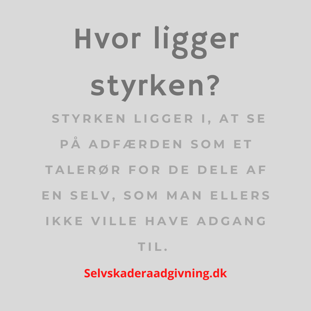 Hvor ligger styrken